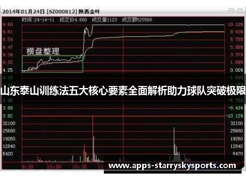 山东泰山训练法五大核心要素全面解析助力球队突破极限