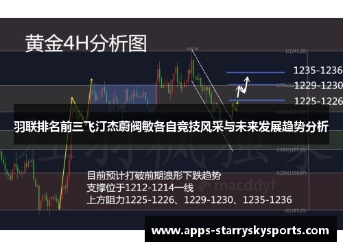 羽联排名前三飞汀杰蔚阀敏各自竞技风采与未来发展趋势分析