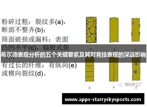希尔德表现分析的五个关键要素及其对竞技表现的深远影响